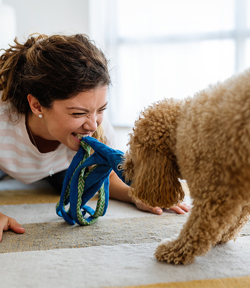 ¿por qué mi perro se emociona cuando llego?